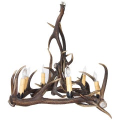 French Provincial Antler Six-Light Chandelier