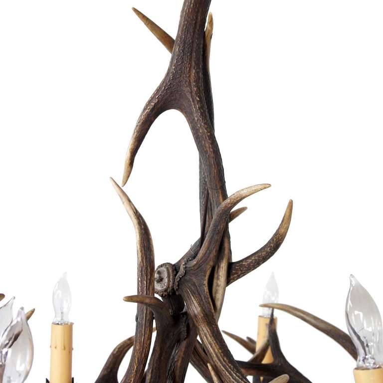 French Provincial Antler Six-Light Chandelier In Good Condition In Denver, CO