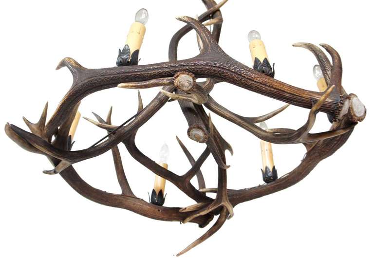 French Provincial Antler Six-Light Chandelier 1