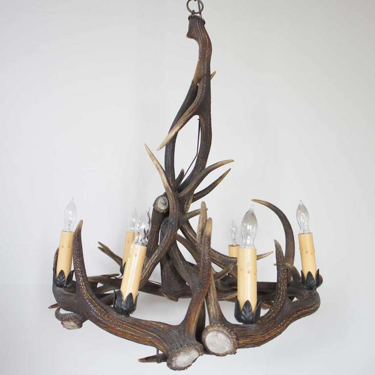 French Provincial Antler Six-Light Chandelier 2