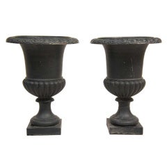 Pair of Small English Neoclassical Cast Iron Garden Urn