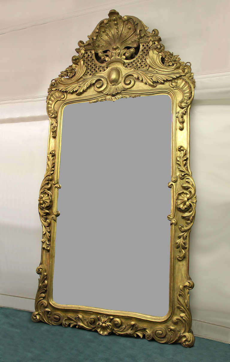 Belle Époque Coppia di specchi in legno dorato intagliati a mano del tardo XIX secolo, di grandi dimensioni e di grande qualità in vendita
