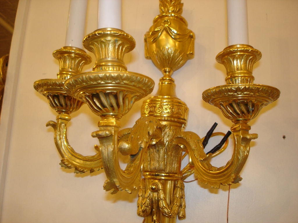 French Pair of Gilt Bronze Sconces