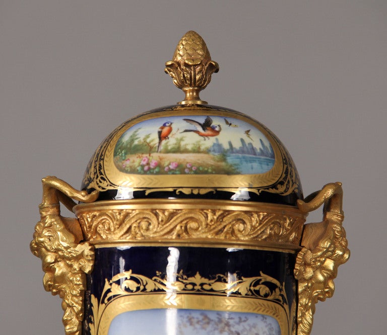 19th Century Pair of Sevres Style Vases