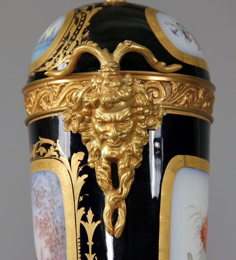 Bronze Pair of Sevres Style Vases