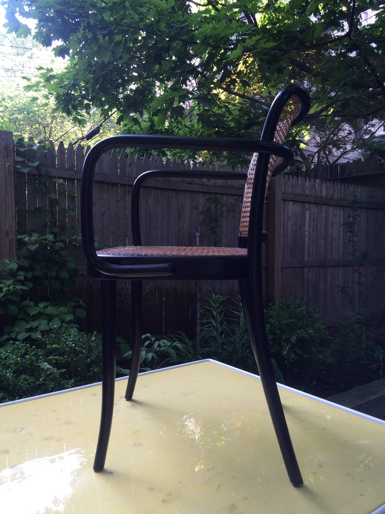 Mid-Century Modern Josef Frank Dining Chairs Set of Six, Models 146 and 147 for Thonet, 1950