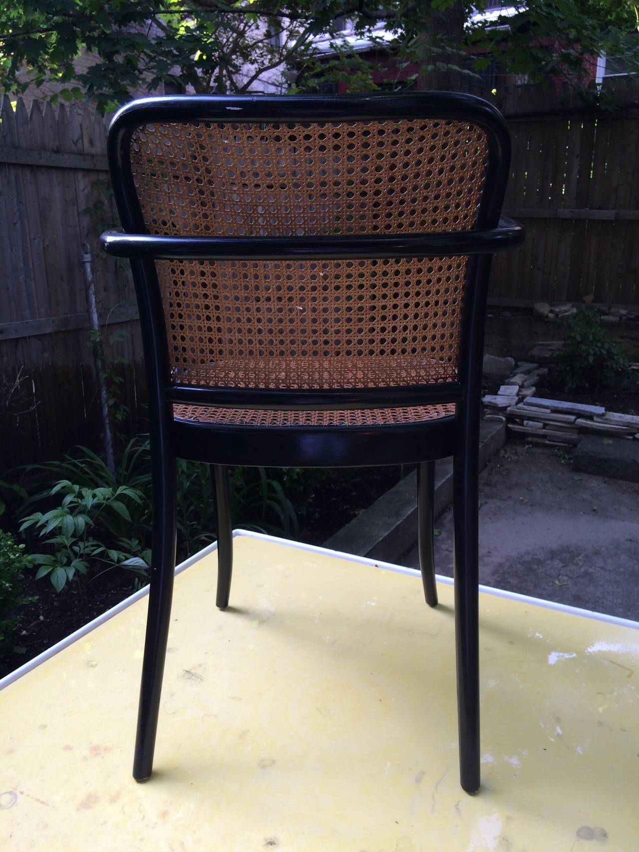 Josef Frank Dining Chairs Set of Six, Models 146 and 147 for Thonet, 1950 In Excellent Condition In Brooklyn, NY