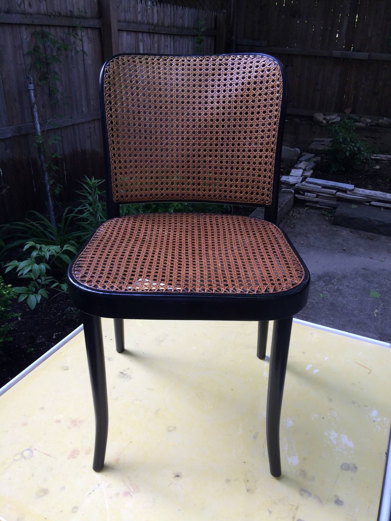 Mid-20th Century Josef Frank Dining Chairs Set of Six, Models 146 and 147 for Thonet, 1950