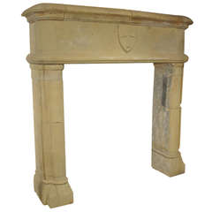 Carved Limestone Fireplace Mantel from France