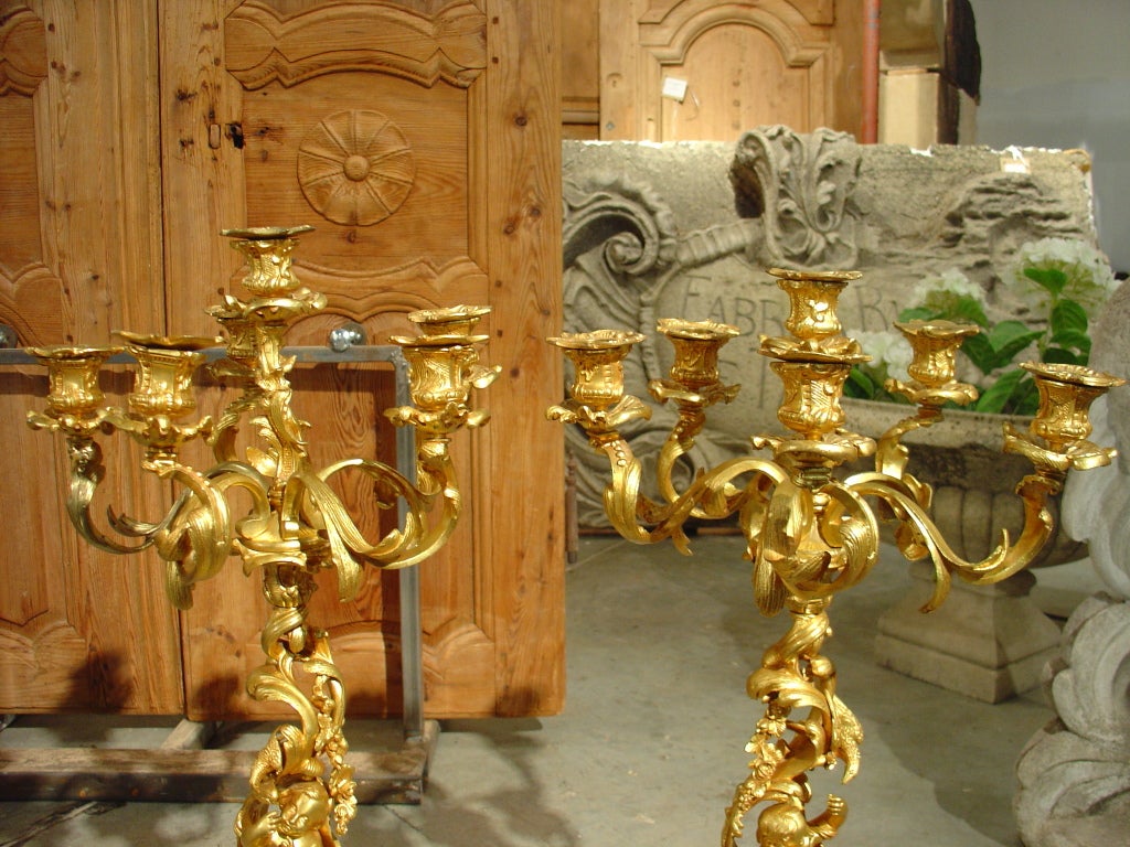 Pair of Antique French Bronze Dore Six-Arm Candelabras 7