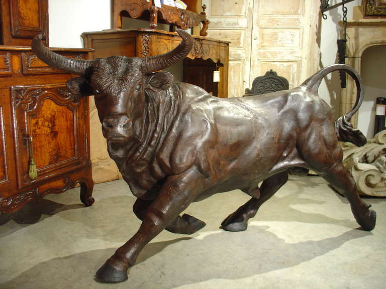 The bull has been featured in artistic expressions for many thousands of years and has a wide range of symbolic meanings across many different cultures.  This fantastic bull sculpture is most likely from the 1900’s, and measures an imposing 64
