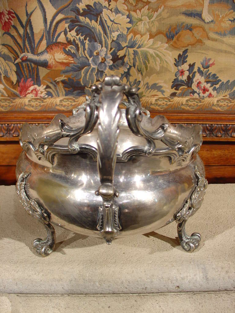 This stunning antique French silver over brass jardiniere was originally used to display flowers from the garden, either fresh or dried.  It has motifs taken from the Louis XV Rocaille period, which include asymmetrical shells atop a cartouche with