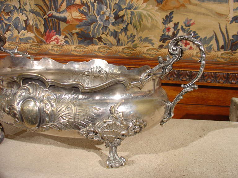 Louis XV Antique Silvered French Jardiniere, Middle 1800s