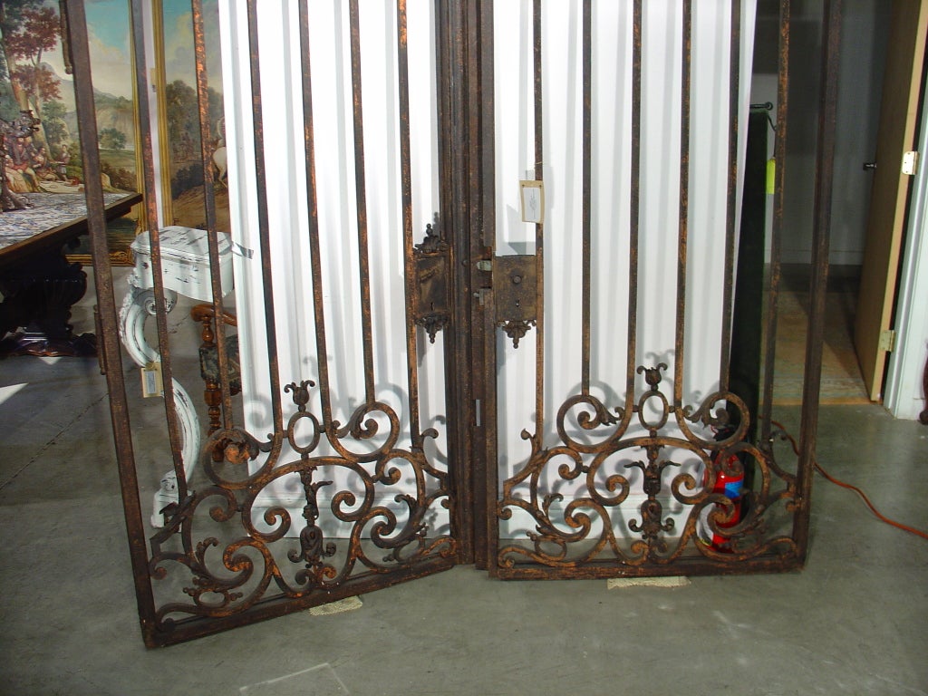 This pair of antique French wrought iron gates have been constructed with thick pieces of iron embellished with lush ornamentation of iron c and s-scrolls, ruffled acanthus leaves, bellflower drops, and florets,  all placed within an irregular