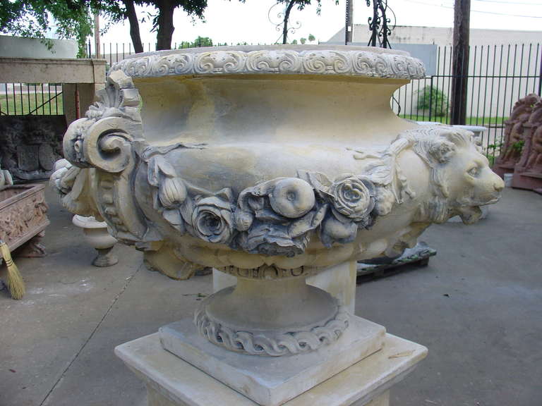 Pair of French Lion Urns on Pedestals 3