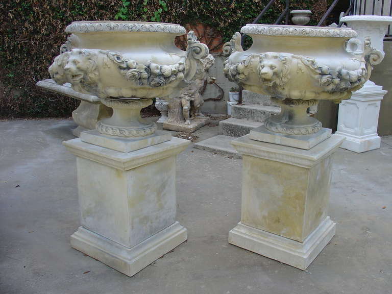 Pair of French Lion Urns on Pedestals 4