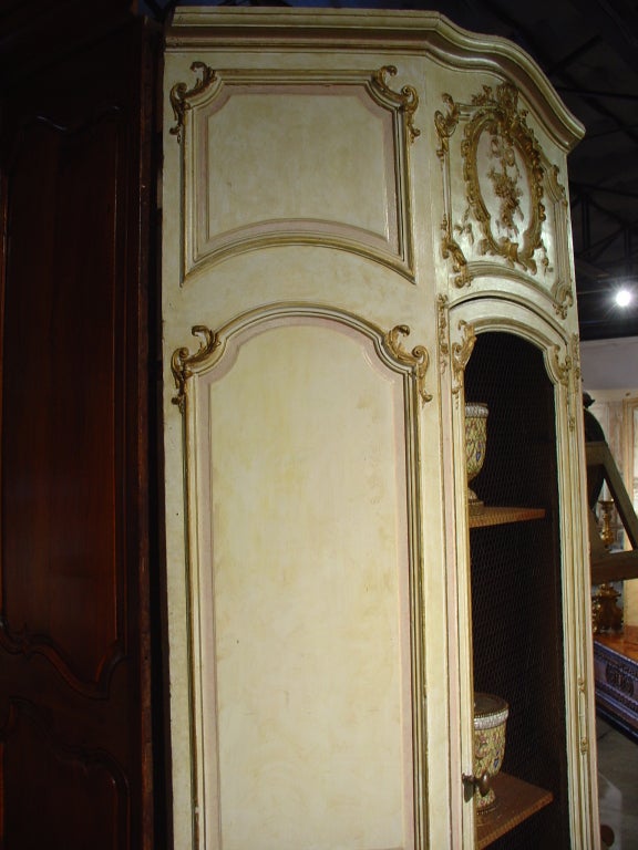 19th Century Antique French Bibliotheque/Display Cabinet from a Boiserie
