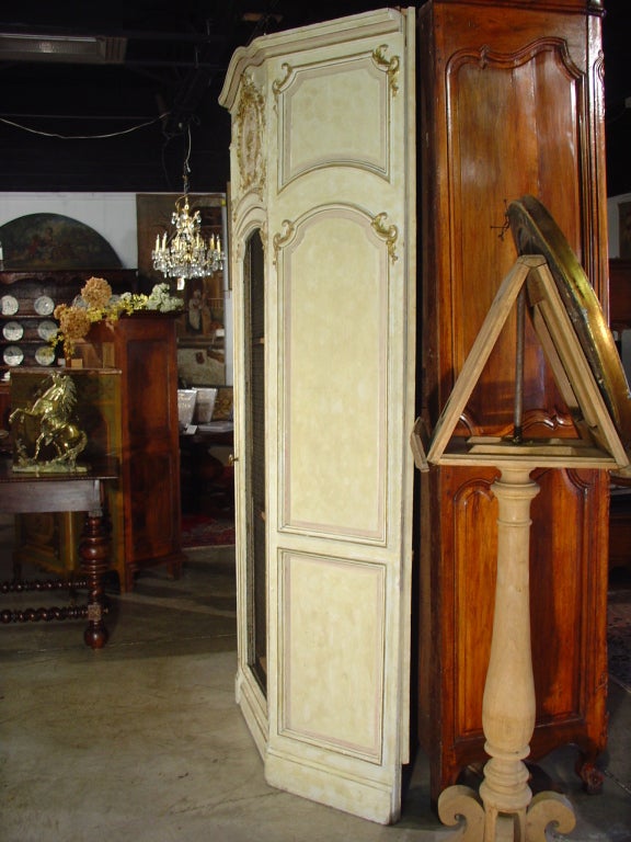 Antique French Bibliotheque/Display Cabinet from a Boiserie 3