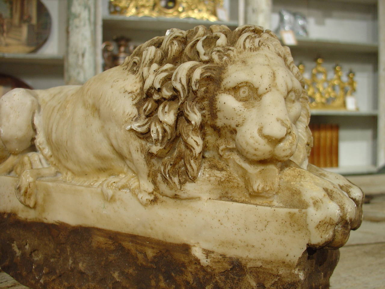A Pair of Hand Carved Marble Lions from Italy on Rectangular Plinths 3