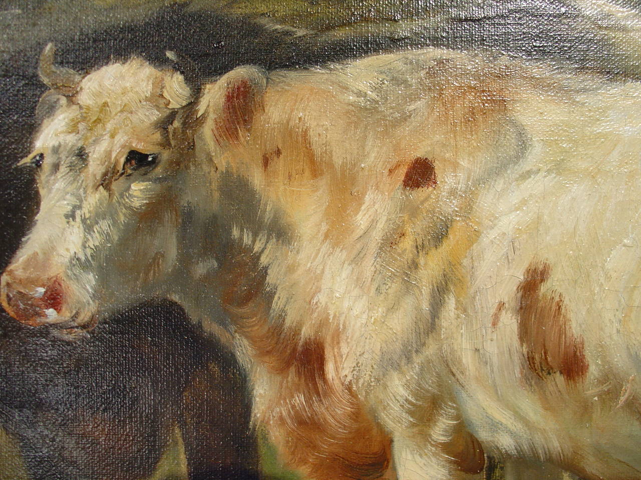 Canvas A Large Framed Antique Cow Painting by Schouten