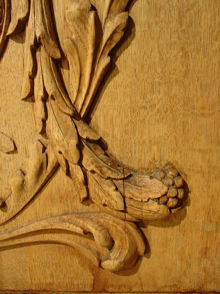 19th Century Carved Oak Bas Relief Architectural Panel 2