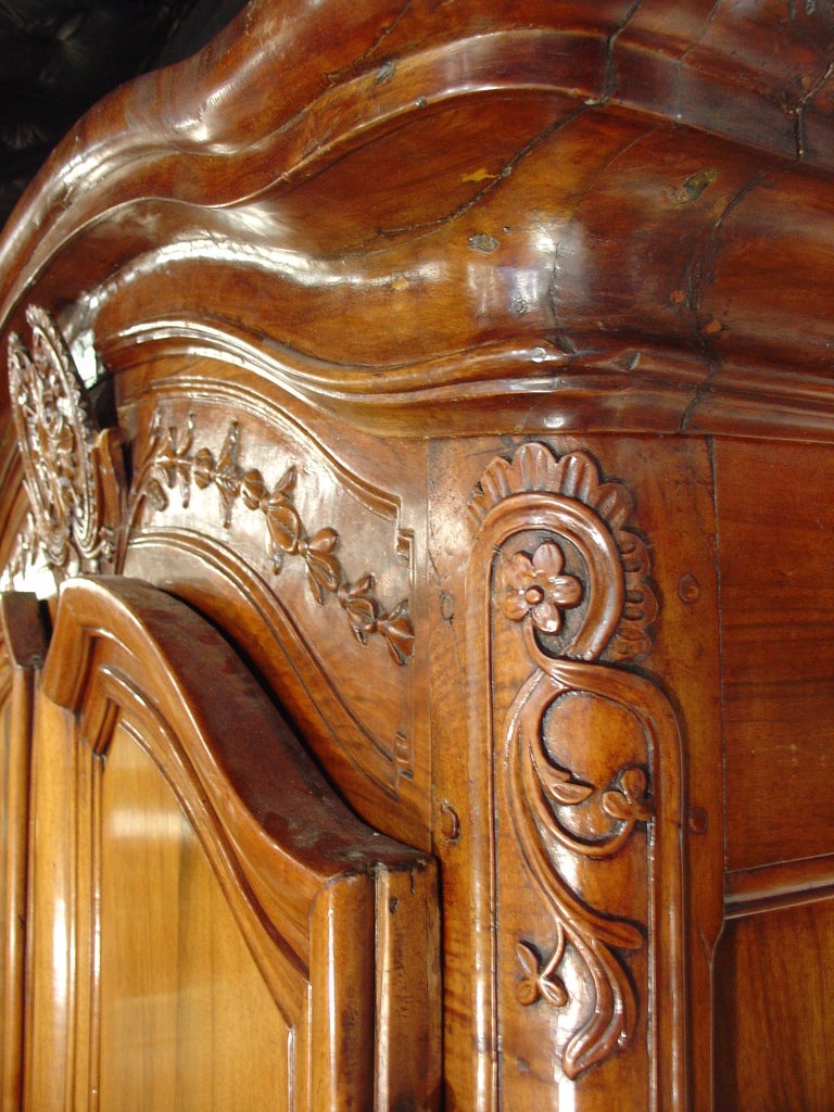 18th Century Walnut Wood Armoire from the Rhone Valley 3