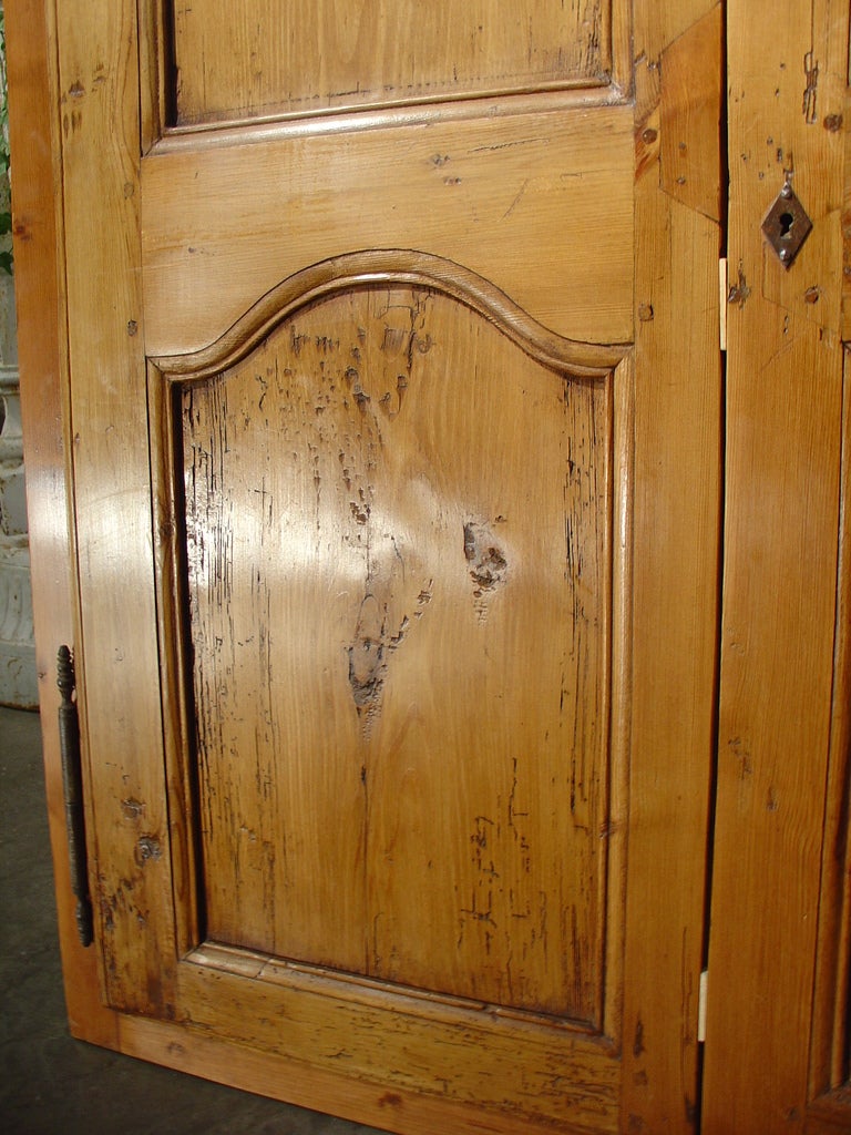 19th Century Pair of Small, Framed French Cabinet Doors, Late 1800's