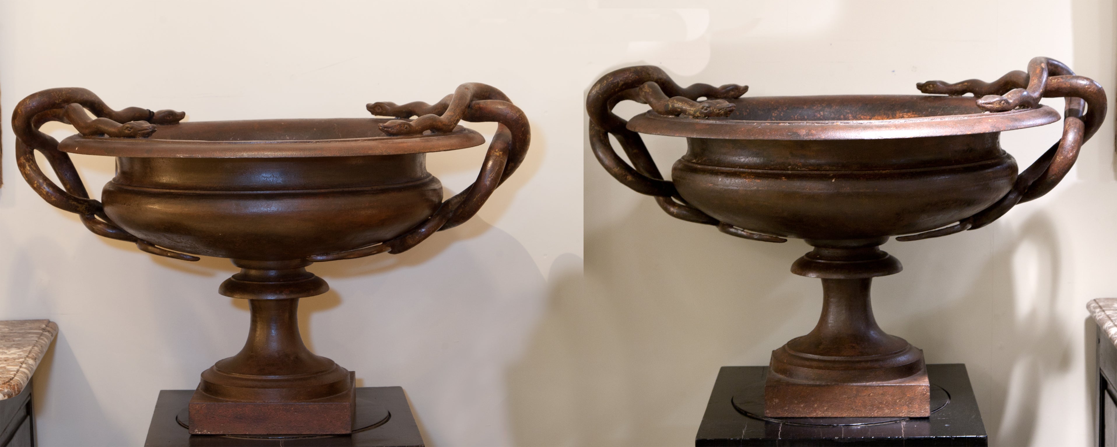 A Pair of Cast Iron Urns Decorated with Snakes