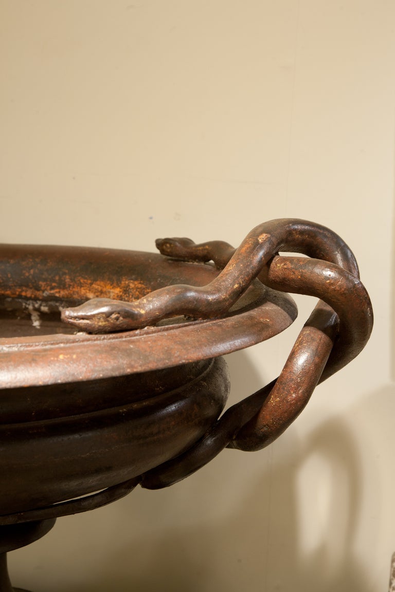 A Pair of Cast Iron Urns Decorated with Snakes 1