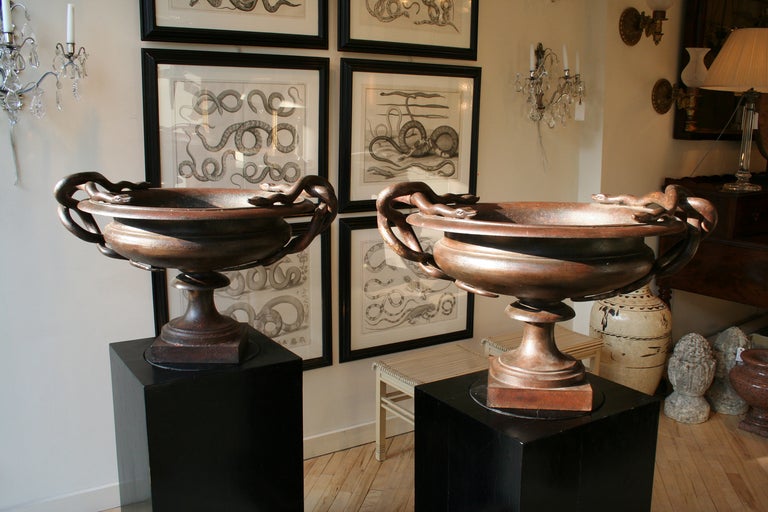A pair of cast iron urns with entwined snakes as handles. 

Pair of plinths sold separately for $4000.00