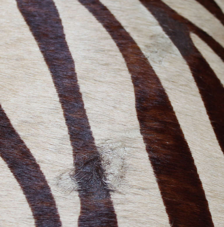 Coffee Table Ottoman in Leather Hide 1