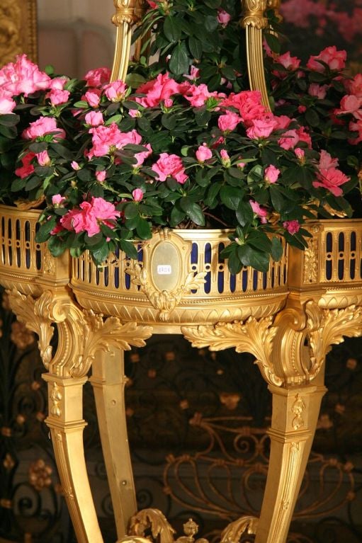 French Window box on a pedestal