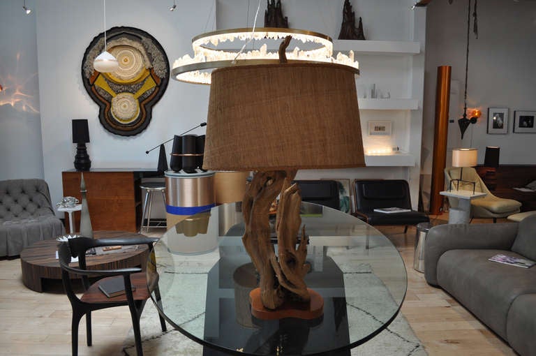 Exquisite large scale pair of driftwood lamps by Nunzi with original shades.