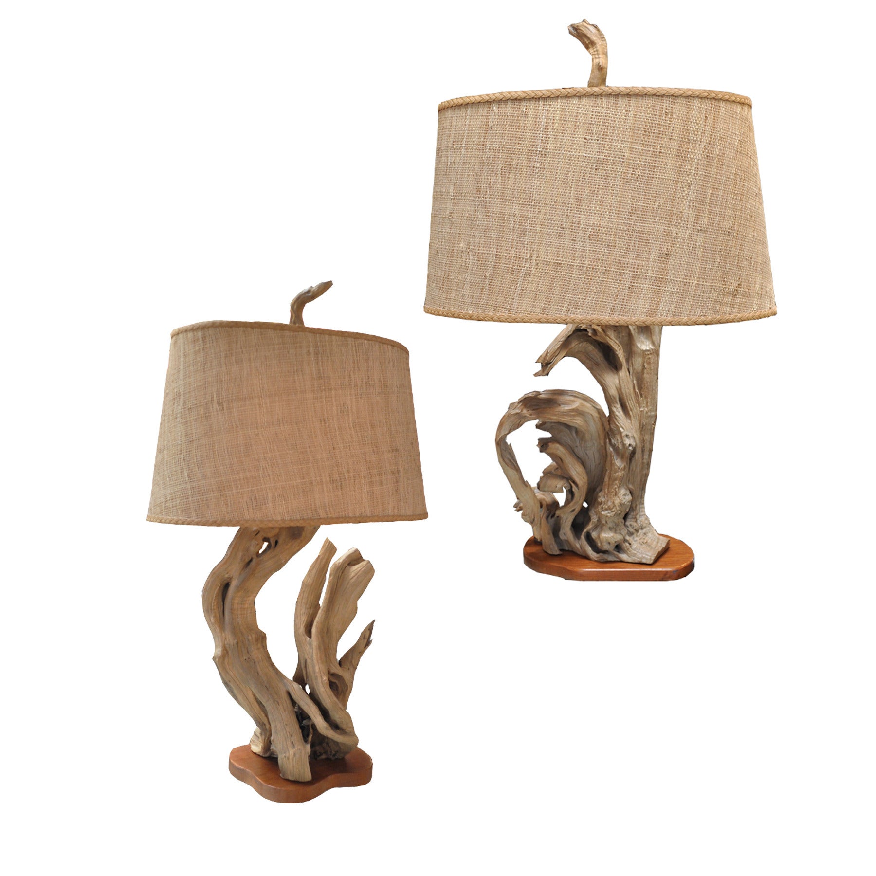 Pair Of Driftwood Creations Lamps By Nunzi