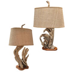 Pair Of Driftwood Creations Lamps By Nunzi