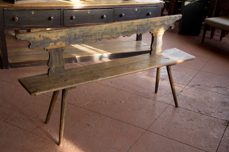 19th century primitive pine bench with remnants of its original paint. It has a lovely scalloped back and splayed legs.