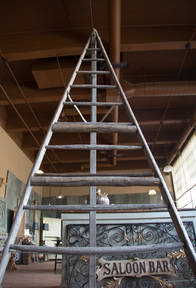 British Vintage English Orchard Ladder