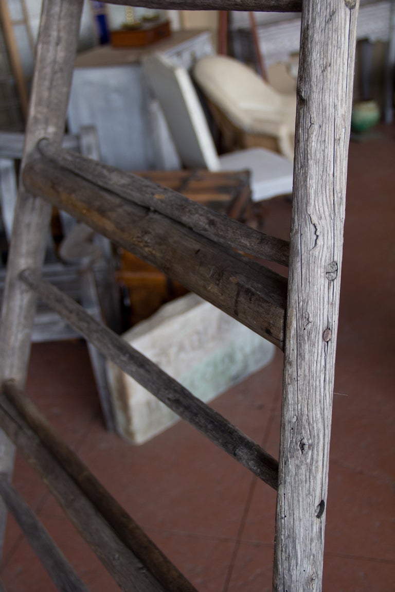Wood Vintage English Orchard Ladder