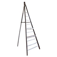 Used English Orchard Ladder