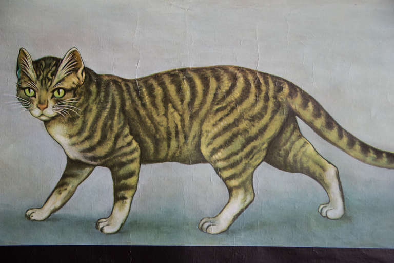 German 1960s Vintage Cat Poster