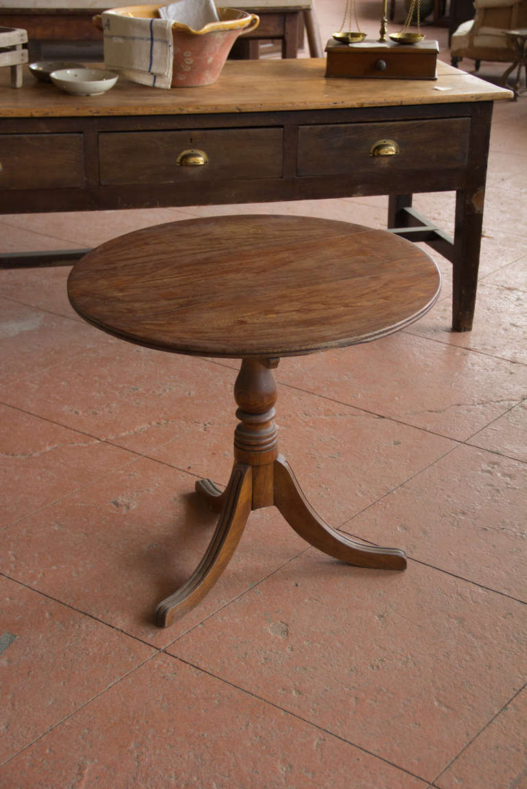 19th Century English oak tilt top table with a turned pedestal elm base. Great colour