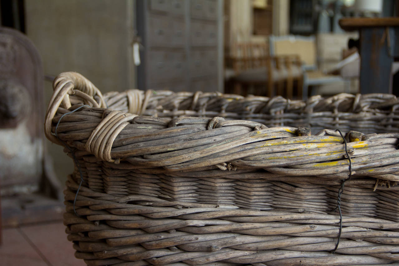 French Antique Woven Grape Harvest Basket