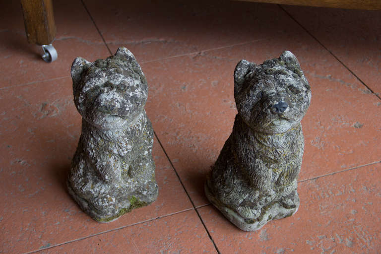 British Pair Vintage West Highland Terrier Dogs