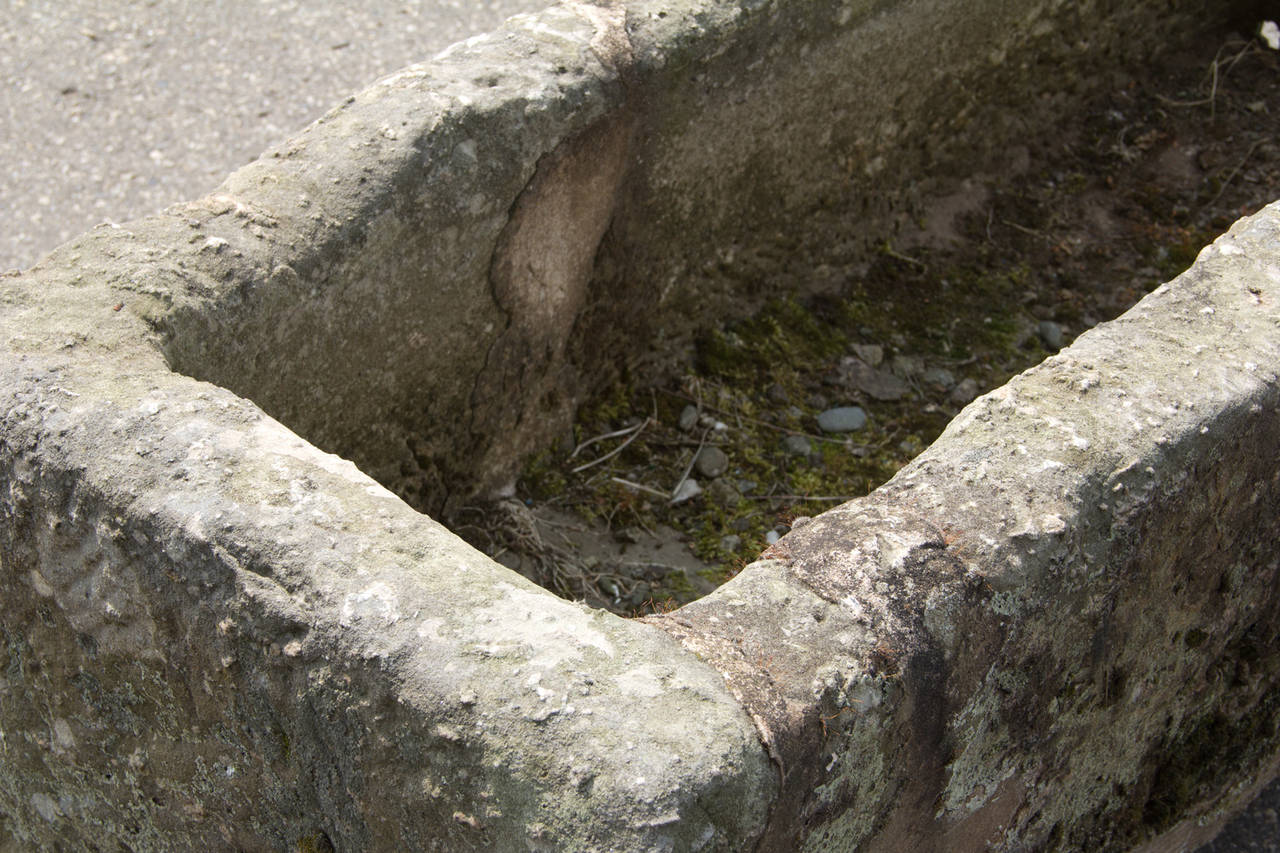 Ancient Stone Trough 2