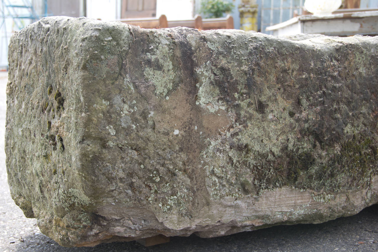 Ancient Stone Trough 1