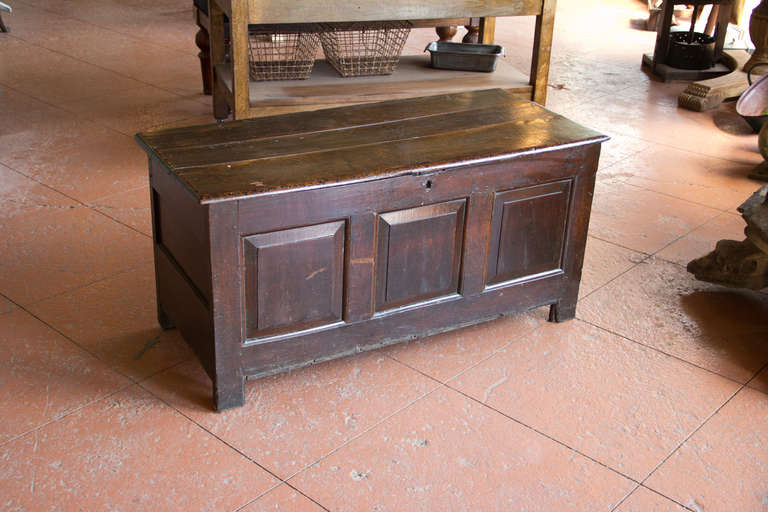 Georgian oak 18th century (1700s) coffer or blanket chest. The coffer stands on plain stile feet rising over 3 raised fielded panels. It has paneled sides and a plank top.  Great antique patina.