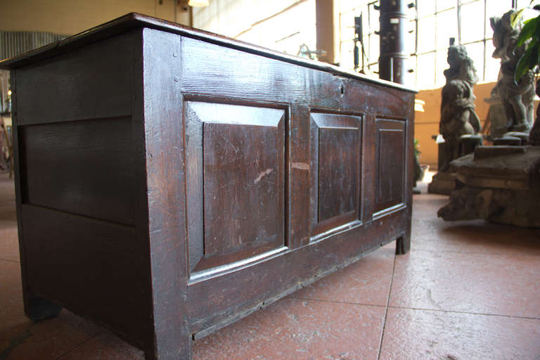 18th Century Georgian Three-Panel Oak Coffer 2
