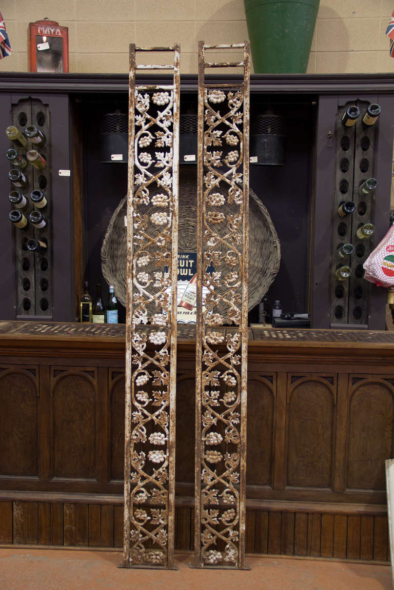 19th Century Grapevine Iron Panels