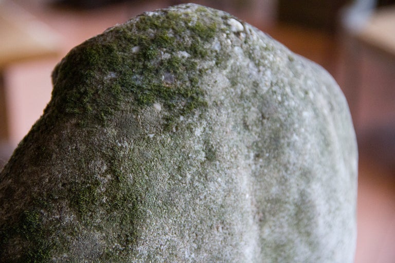 19th Century Female Stone Torso 5