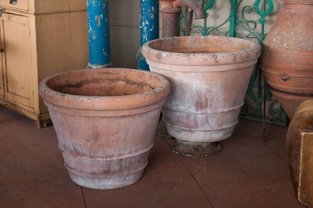 Pair of large beautiful early 20th century English terracotta conservatory lemon tree pots.  There are potters marks on the bottom of both pots, but due to wear they are difficult to distinguish.<br />
24 in interior diameter